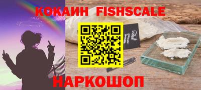 мдпв Камышлов