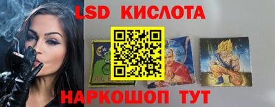 мдпв Камышлов