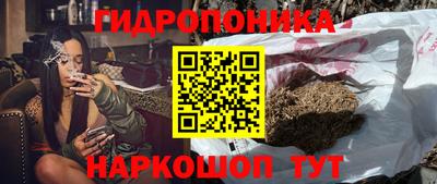 тгк Канаш
