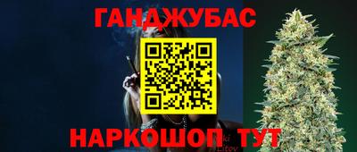мдпв Камышлов